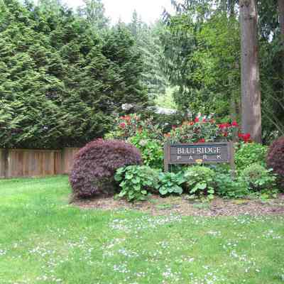4349 - Blueridge sign 21.tif