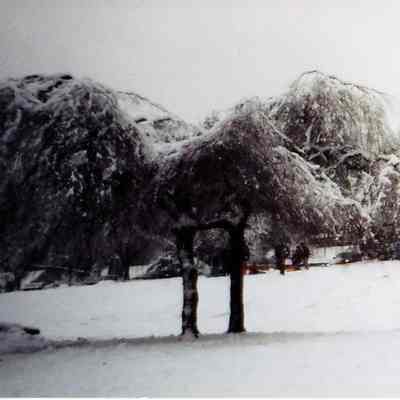 3144 - Deep Cove, snow, panorama pic 3.tif