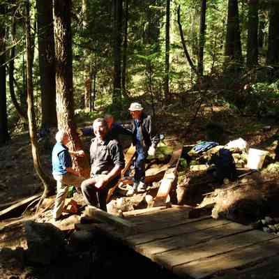 4791 - Golden Age Hikers Club maintenance on Baden Powell Trail