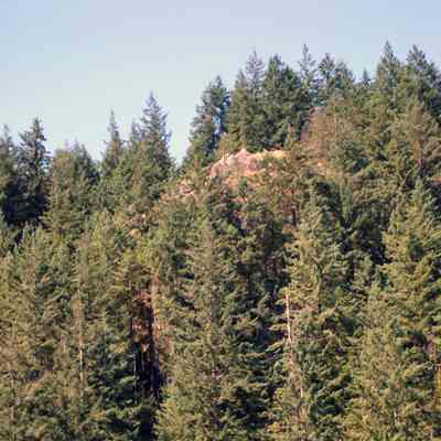 Hikers on Quarry Rock - 1