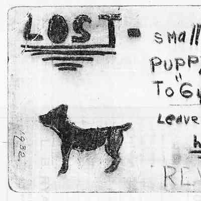 4216 - Lost Dog notice 1932.tif