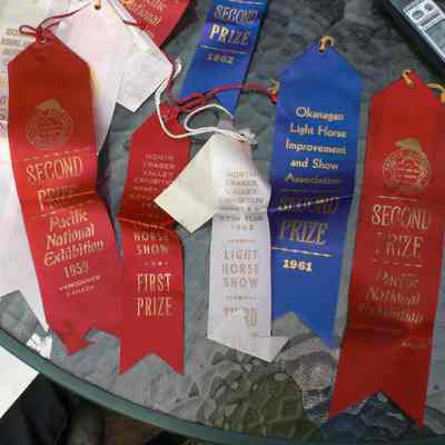 3411 - Various horse competition ribbons, recd by Sharron Hogan CIMG0180.JPG