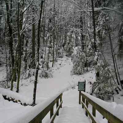 2922 - New snow on footbridge over McCartney Creek 2008.tif