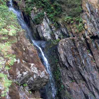 4969 - Silver Falls near end of drought 2015