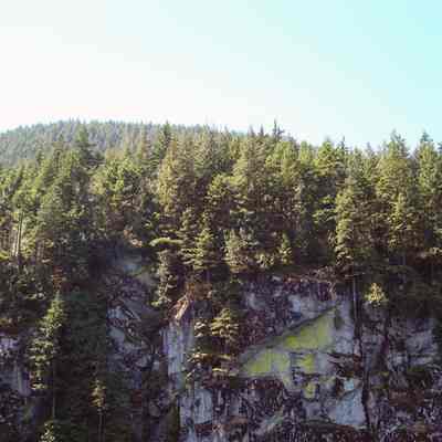 Indian Arm - yellow markings