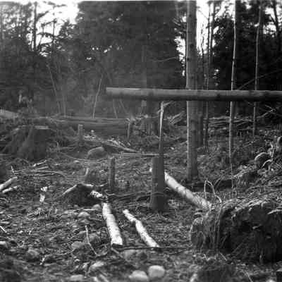 4935 - Clearing land at 480 Beachview Drive 1945.tif