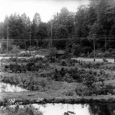 2831 - Hogans Pools 3, 1951.tif