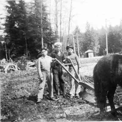 2816 - Boys with plough behind horses 1945.tif