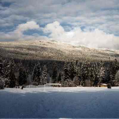 3854 - Myrtle Park, Seymour snow 1982-01-01.tif