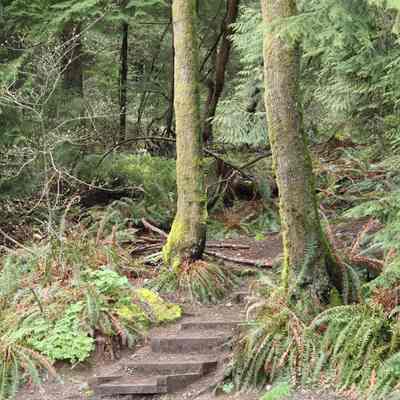 4077 - Wickenden Park - 11 pics