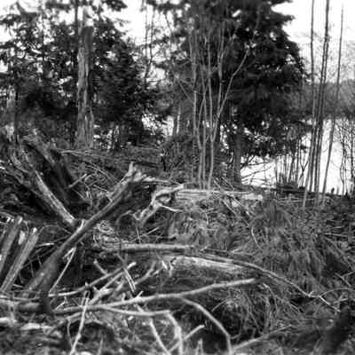 4934 - Clearing land at 480 Beachview Drive 1945.tif