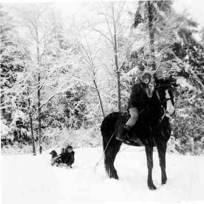 2837 - Horse Smokey pulling Terry Hogan on sled, 1954.tif