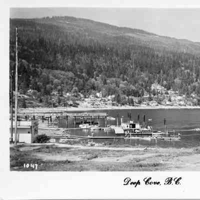 4363 - OBJECT Deep Cove postcard 1960c screened & descreened.tif