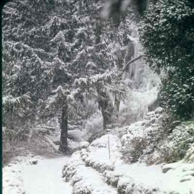 3665 - Sunshine Falls, Winter 1963.tif