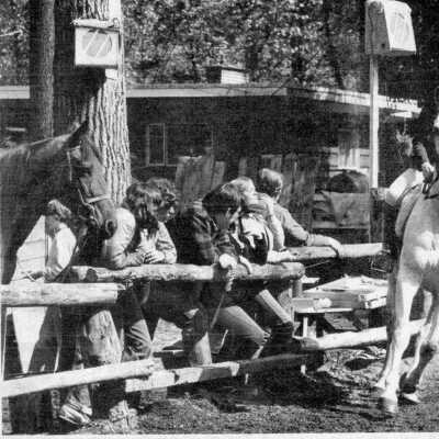 Equine Set c 1974