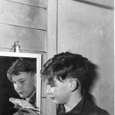 3697 - Boy with budgie in mirror.tif