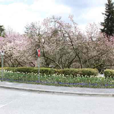 Cates Park/Whey-ah-Wichen - Floral Entrance - 3 pics
