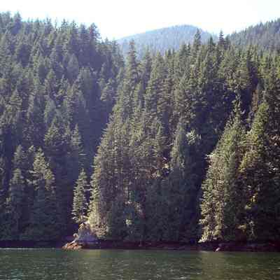 Indian Arm - 3