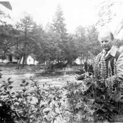 2861 - Doc Hogan in garden by Seymour River, 1949.tif