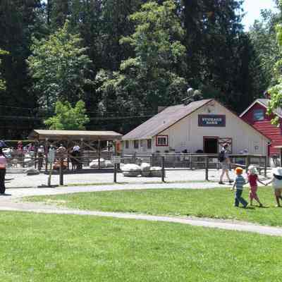 Maplewood Farm; barn in background