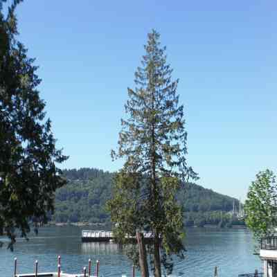 3158 - Private residential wharf, at property directly next to Dollarton Shipyards CIMG0053.tif