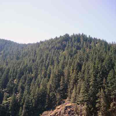 Indian Arm - Area between Coldwell and Best Point
