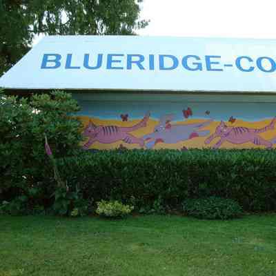 Blueridge-Cove Animal Hospital mural - 04
