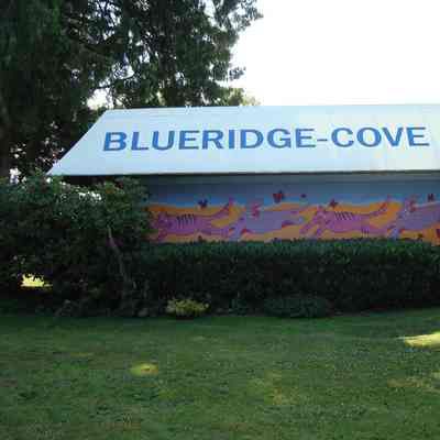 Blueridge-Cove Animal Hospital mural - 03