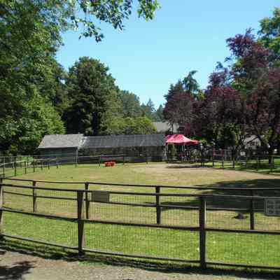 Maplewood Farm; pony rides paddock