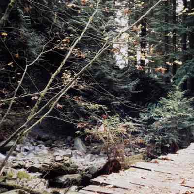 3861 - Hiking Baden Powell Trail 1997-10.tif