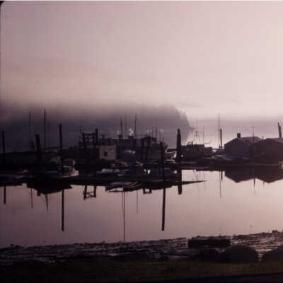 Misty Morning, July 1972