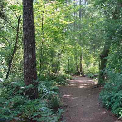 Ron Andrews track - 1
