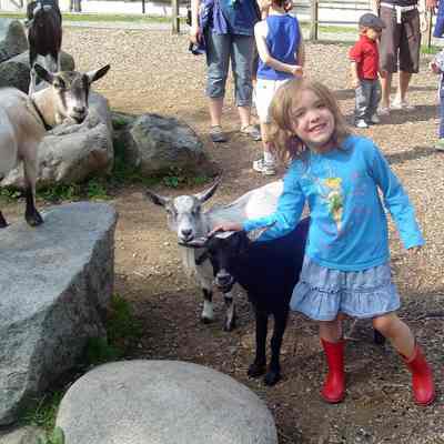 Katie Boughen with goats Maplewood Farm