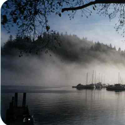 Deep Cove, misty morning, moored boats 1990s.tif