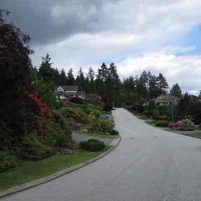 4371 - Blueridge 24.tif