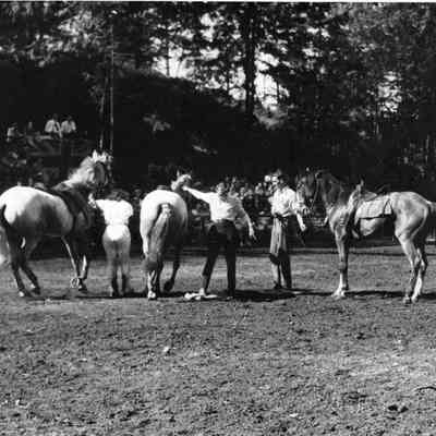 4873 - Horses and onlookers.tif