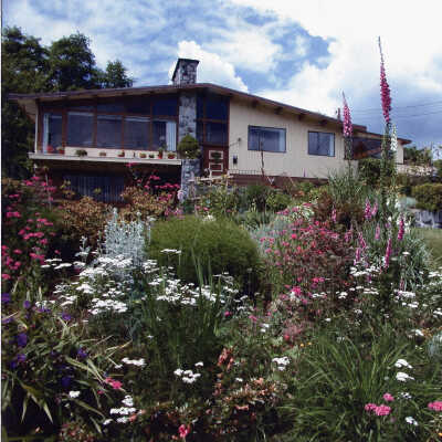 Morrice home 2007