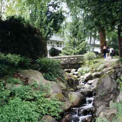 3138 - Deep Cove, Panorama Park, creek 1990s.tif