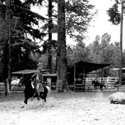 NS Riding Centre roping