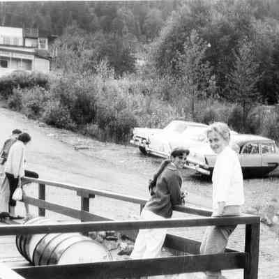 3748 - Foot of Gallant, Nutshell, Graves' 1958c.tif