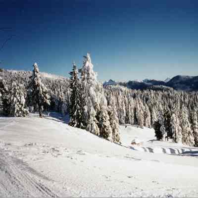 4296 - Snow on Mt Seymour - check this.tif