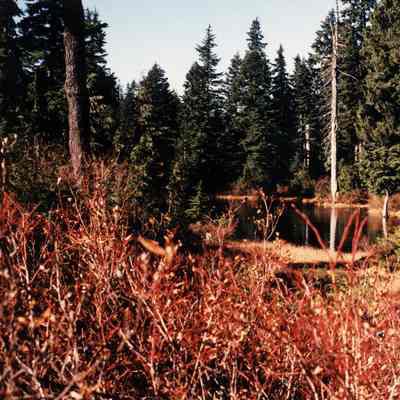 4297 - Lake on Mt Seymour - check this.tif