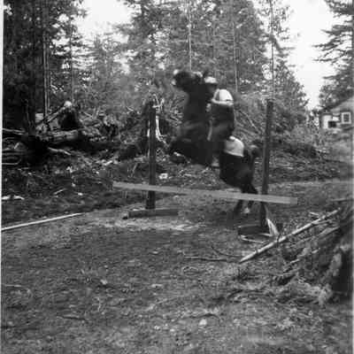 4831 - Practice jumping 1945.tif