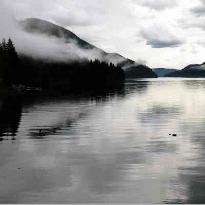 3803 - fog over water.tif