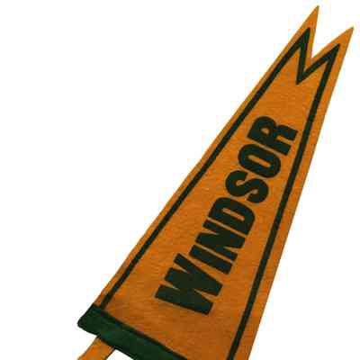 3992 - Windsor School Pennant