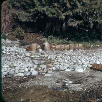 3643 - Entrance path & beach wood, Jan 1961.tif