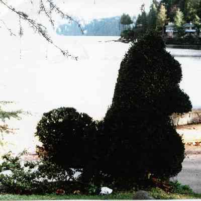 4266 - Deep Cove Park topiary creature Nov 1996.tif