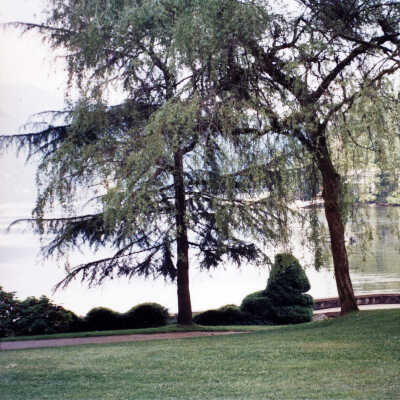 DC Park - Topiary Creature - June 2008