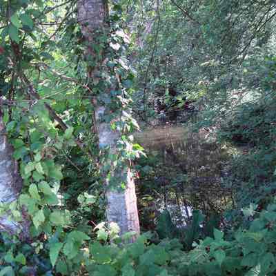 Hogan's Pools Park - 1