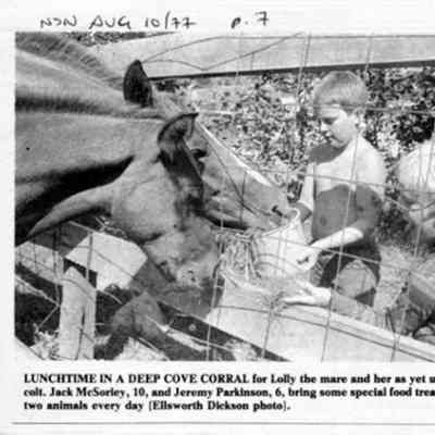 4207 - DC Corral - Ellsworth Dickson- NS News 1977-08-10.tif